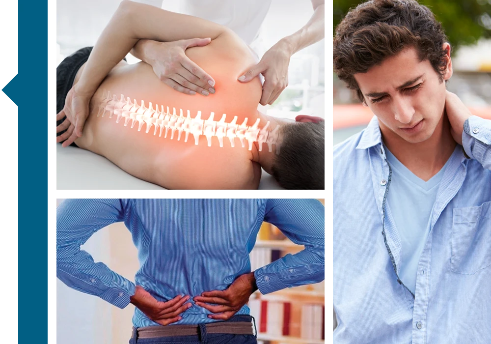 Chiropractic Michigan City IN back pain HP